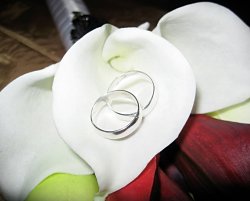 Julio and Krista's Wedding Rings